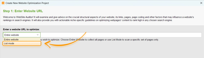 List Mode in WebSite Auditor