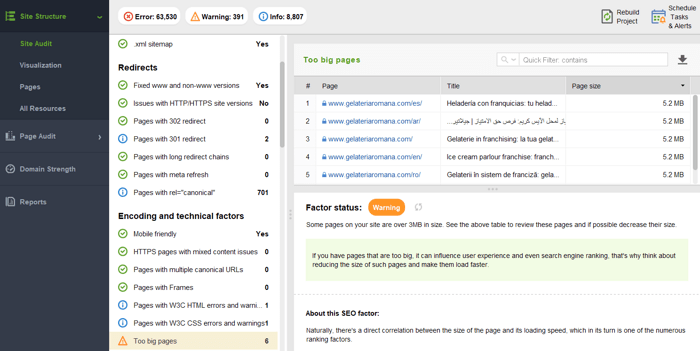 pages audited in WebSite Auditor