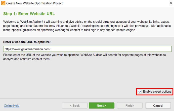 entering a website to WebSite Auditor