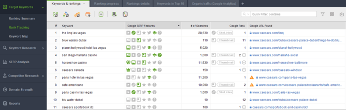 Google SERP Features column in Target Keywords > Rank Tracking